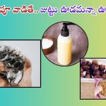 Homemade Shampoo: ఇలా ఇంట్లోనే షాంపూ తయారు చేసుకుని వాడితే.. జుట్టు రాలనే రాలదు తెలుసా ?