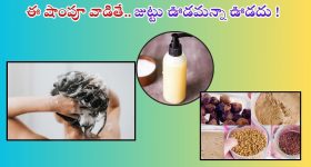 Homemade Shampoo: ఇలా ఇంట్లోనే షాంపూ తయారు చేసుకుని వాడితే.. జుట్టు రాలనే రాలదు తెలుసా ?