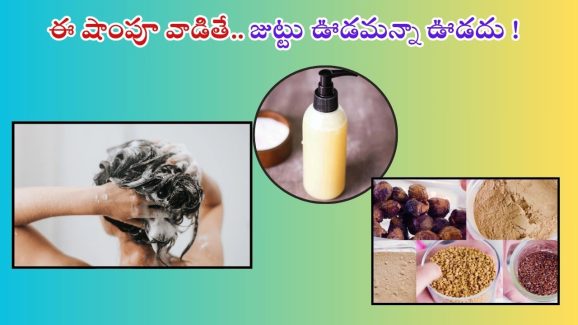 Homemade Shampoo: ఇలా ఇంట్లోనే షాంపూ తయారు చేసుకుని వాడితే.. జుట్టు రాలనే రాలదు తెలుసా ?