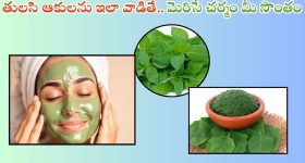 Tulsi For Skin: తులసి ఆకులను ఇలా వాడితే.. మెరిసే చర్మం మీ సొంతం