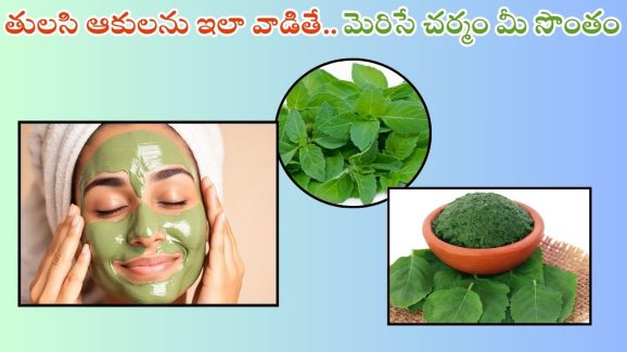 Tulsi For Skin: తులసి ఆకులను ఇలా వాడితే.. మెరిసే చర్మం మీ సొంతం