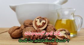 Walnuts: చలికాలంలో వాల్‌నట్స్ తింటే ఏం జరుగుతుందో తెలుసా ?