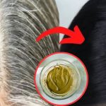 Henna For White Hair: హెన్నా ఇలా వాడారంటే.. క్షణాల్లోనే తెల్లజుట్టు నల్లగా మారడం గ్యారంటీ