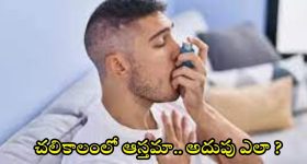 Asthma: చలికాలంలో ఆస్తమాను అదుపు చేయండిలా !