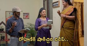 Henna For Hair: తరుచుగా జుట్టుకు హెన్నా అప్లై చేస్తే.. ఏం జరుగుతుందో తెలుసా ?