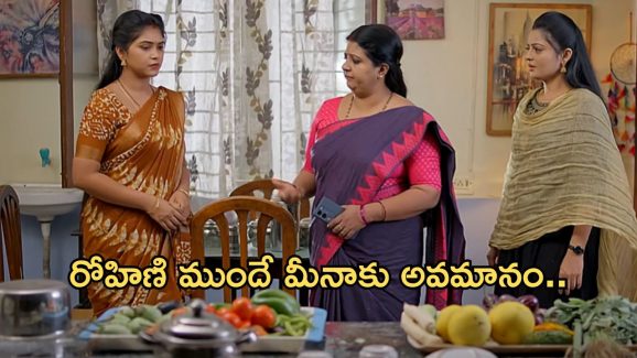 Gundeninda Gudigantalu Today Episode : ప్రభావతి మాటలకు కన్నీళ్లు పెట్టుకున్న మీనా.. బాలుకు జాబ్ వచ్చిందా?