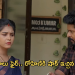Gundeninda Gudigantalu Today Episode : దినేష్ మాస్టర్ ప్లాన్.. అడ్డంగా దొరికిపోయిన రోహిణి.. ప్రభావతి ఇంట్లో నుంచి గెంటేస్తుందా?