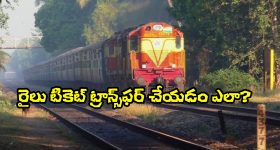 Walnuts: చలికాలంలో వాల్‌నట్స్ తింటే ఏం జరుగుతుందో తెలుసా ?