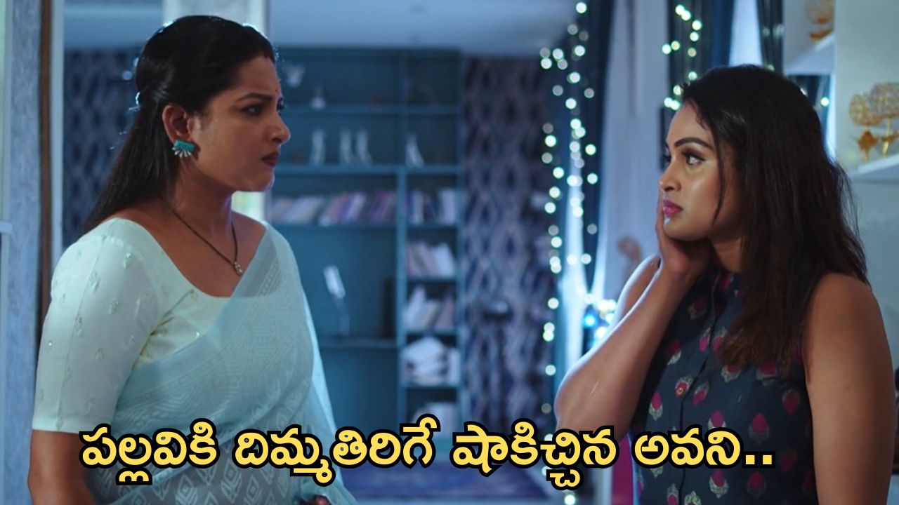 Intinti Ramayanam Today Episode : పల్లవి  చెంప పగలగొట్టిన అవని.. చక్రధర్ కు అవని తన కూతురు అని తెలిసిపోతుందా?