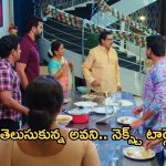 Intinti Ramayanam Today Episode : మీనాక్షికి షాక్ ఇచ్చిన చక్రధర్.. రాజేంద్రప్రసాద్ కు నిజం చెప్పిన పల్లవి..?