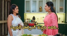 Intinti Ramayanam Today Episode : అవనికి సపోర్ట్ గా పార్వతి.. పల్లవికి సీరియస్ వార్నింగ్ ఇచ్చిన అవని..