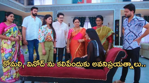 Intinti Ramayanam Today Episode : వినోద్ ను  తీసుకురావడానికి అవని ప్లాన్.. అవని జీవితం మీద దెబ్బకొట్టేందుకు పల్లవి స్కెచ్..