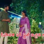 Intinti Ramayanam Today Episode : పల్లవి ప్రెగ్నెంట్ అని కన్ఫార్మ్ చేసిన డాక్టర్.. ఒక్కటైన అవని, అక్షయ్..