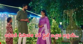 Intinti Ramayanam Today Episode : పల్లవి ప్రెగ్నెంట్ అని కన్ఫార్మ్ చేసిన డాక్టర్.. ఒక్కటైన అవని, అక్షయ్..