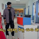 Satyabhama Today Episode : మైత్రి కోసం త్యాగం చేసిన విశాలాక్షి.. క్రిష్ పుట్టుక నిజాలు తెలుసుకున్న సత్య..