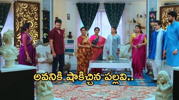 Intinti Ramayanam Today Episode : భరత్ ను ఇరికించడం వెనుక పల్లవి హస్తం.. అవనికి మరో షాక్..