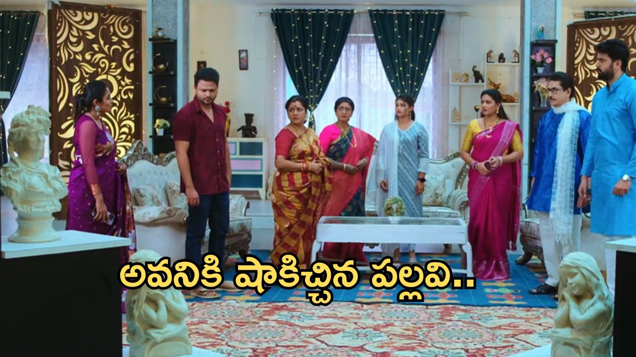 Intinti Ramayanam Today Episode : భరత్ ను ఇరికించడం వెనుక పల్లవి హస్తం.. అవనికి మరో షాక్..