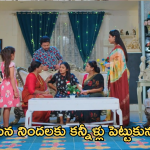 Intinti Ramayanam Today Episode :  చక్రధర్ కు గుడ్ న్యూస్ చెప్పిన పల్లవి.. అవనికి ఇంట్లోనే అవమానం..