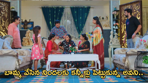 Intinti Ramayanam Today Episode :  చక్రధర్ కు గుడ్ న్యూస్ చెప్పిన పల్లవి.. అవనికి ఇంట్లోనే అవమానం..