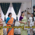 Intinti Ramayanam Today Episode : అవని రహస్యం బయట పెట్టిన అక్షయ్.. నెక్స్ట్ ఏంటి ఏం జరుగుతుంది?