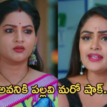 Intinti Ramayanam : భరత్ గురించి అవని నిజం చెప్తుందా..కోమలికి బుద్ది చెప్పిన వినోద్..