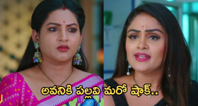 Viral video: ఢిల్లీ మెట్రో.. ఇద్దరు యువకుల ఫైటింగ్, మధ్యలో ఆ యువతి