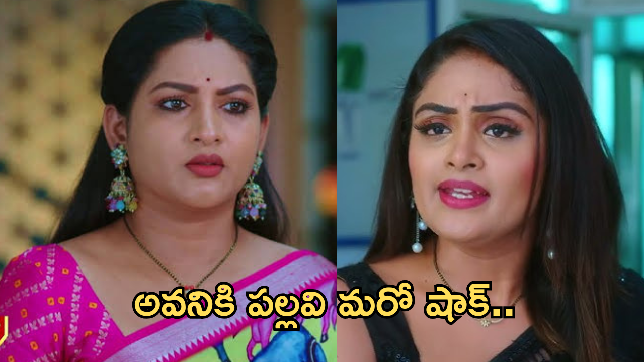 Intinti Ramayanam : భరత్ గురించి అవని నిజం చెప్తుందా..కోమలికి బుద్ది చెప్పిన వినోద్..
