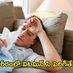 Vitamin C:  మీలో ఈ లక్షణాలు ఉన్నాయా  ?అయితే జాగ్రత్త