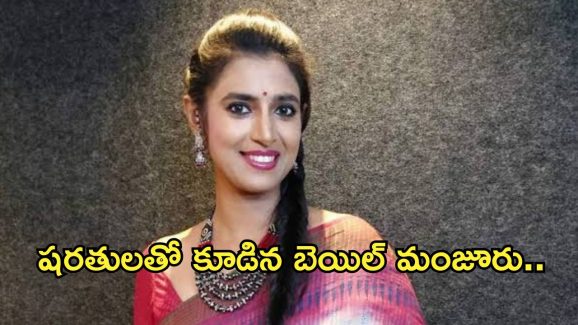 Actor Kasturi : నటి కస్తూరికి భారీ ఊరట.. బెయిల్ మంజూరు..
