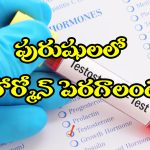 Testosterone Level: మగాళ్లలో టెస్టోస్టెరాన్ పెరగాలంటే, సింఫుల్ గా ఈ పని చేయండి!