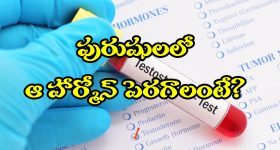 Homemade Hair Mask: జుట్టు ఎక్కువగా రాలుతోందా  ? అయితే వారానికోసారి ఇలా చేయండి
