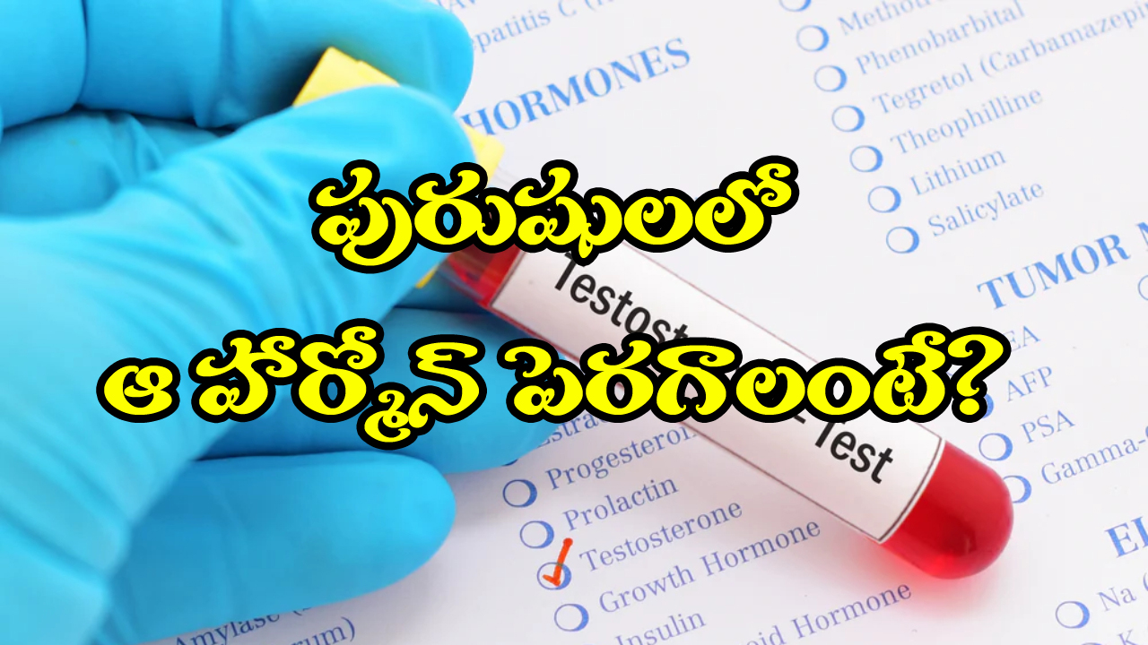 Testosterone Level: మగాళ్లలో టెస్టోస్టెరాన్ పెరగాలంటే, సింఫుల్ గా ఈ పని చేయండి!