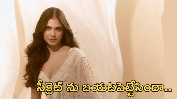 Malavika Mohanan : ఏంటి పాప ఇది.. టాప్ సీక్రెట్ ను బయటపెట్టేసిందిగా..?