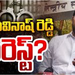Avinash Reddy Arrest: అవినాష్‌కు మరో గండం.. ఈసారి వివేకా హత్య కేసులో కాదు, ఆయన పీఏ రాఘవరెడ్డి దొరికితే?