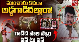 Turmeric Milk: రాత్రి పూట పసుపు పాలు త్రాగితే.. ఏం జరుగుతుందో తెలుసా ?