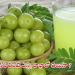 Amla Benefits: చలికాలంలో ఉసిరి తింటే..?