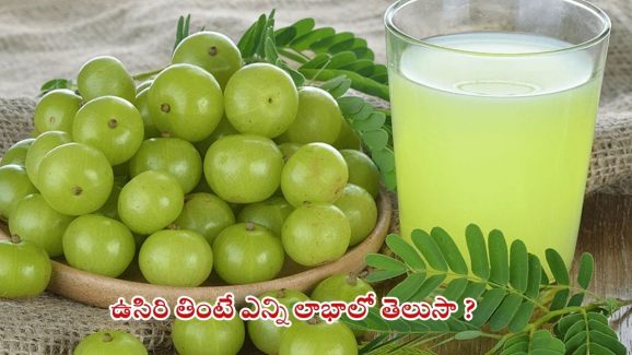 Amla Benefits: చలికాలంలో ఉసిరి తింటే..?