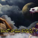 Dreaming of Snake: కలలో పాము కనిపిస్తే ?
