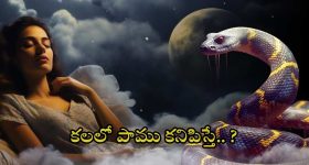 Dreaming of Snake: కలలో పాము కనిపిస్తే ?