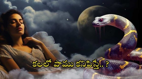 Dreaming of Snake: కలలో పాము కనిపిస్తే ?