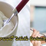 Curd: చలికాలంలో పెరుగు తింటే ఏం జరుగుతుందో తెలుసా ?