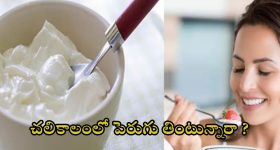Curd: చలికాలంలో పెరుగు తింటే ఏం జరుగుతుందో తెలుసా ?