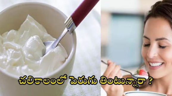 Curd: చలికాలంలో పెరుగు తింటే ఏం జరుగుతుందో తెలుసా ?