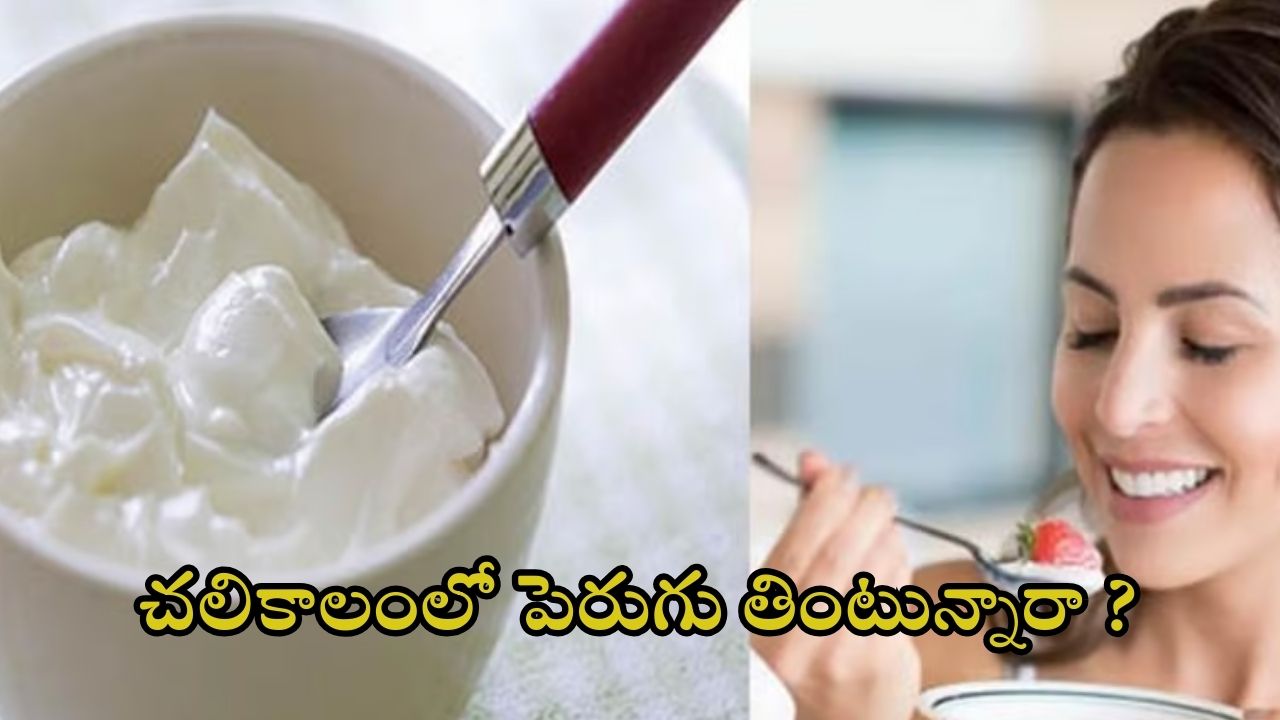 Curd: చలికాలంలో పెరుగు తింటే ఏం జరుగుతుందో తెలుసా ?