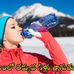 Water : చలికాలంలో తక్కువగా నీరు త్రాగుతున్నారా ? జాగ్రత్త