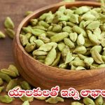 Cardamom Benefits: రాత్రి పడుకునే ముందు యాలకులు తింటే ?