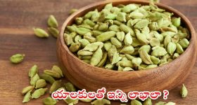 Ariyana Glory : ఆర్జీవిని బ్లాక్ చేసిన హాట్ బ్యూటీ.. ఆ ఒక్కటి అడగొద్దు..?