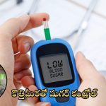 Coriander Leaves: పచ్చి కొత్తిమీరతో షుగర్ కంట్రోల్.. ఎలానో తెలుసా ?