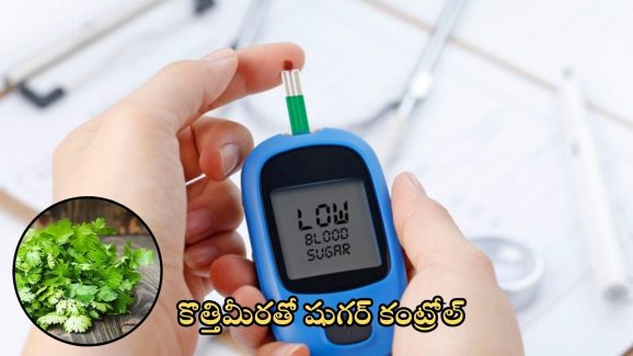 Coriander Leaves: పచ్చి కొత్తిమీరతో షుగర్ కంట్రోల్.. ఎలానో తెలుసా ?