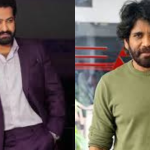 Nagarjuna – NTR : నాగార్జున – ఎన్టీఆర్ కాంబోలో సినిమా.. ఫ్యూజులు అవుట్ అయ్యే న్యూస్..